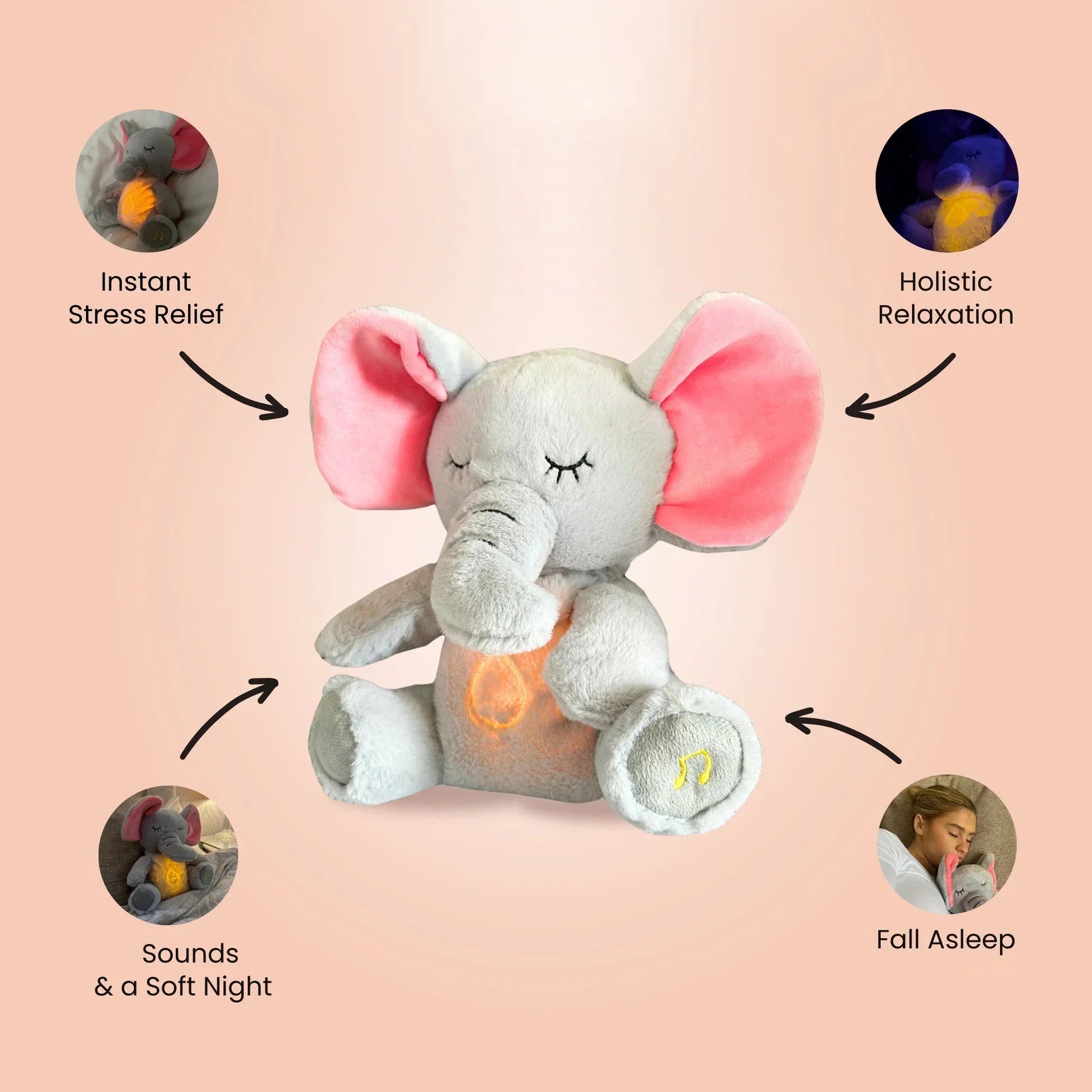 KuschelBegleiter 4-in-1 - Beeboune